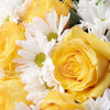 Floral Fantasy Daisy Bouquet. Elegant roses and cheerful daisies, gathered in a floral wrap and tied with a designer ribbon. Mixed Floral Gifts from Monthly Sommelier USA - Same Day USA Delivery.