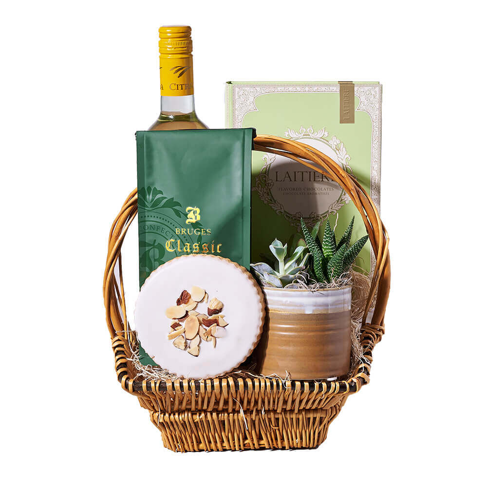 Abruzzo Citra Pinot Grigio Wine Gift Basket, wine gift, wine, gourmet gift, gourmet, plant gift, plant