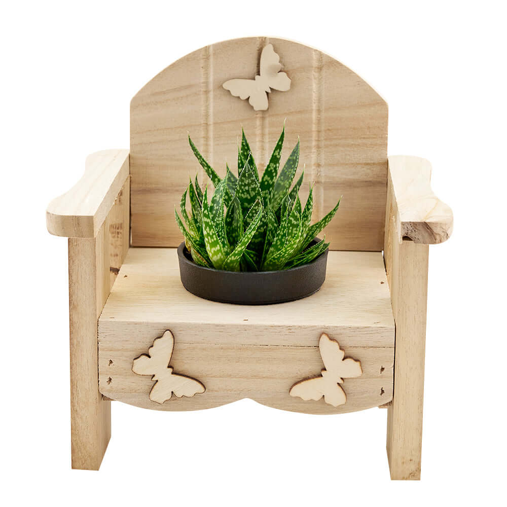 Butterfly Planter Chair Arrangement, Charming rustic wooden planter chair adorned with a delightful potted succulent. Plant Gifts from Monthly Sommelier USA - Same Day USA Delivery.