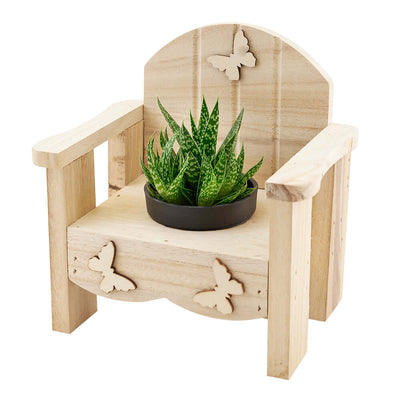 Butterfly Planter Chair Arrangement from Monthly Sommelier USA - Plant Gift - USA Delivery