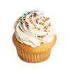 The Birthday Cupcakes from Monthly Sommelier USA - Cake Gift - USA Delivery