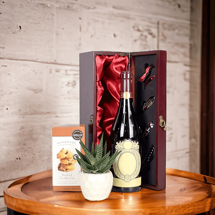 Wine & Succulent Gift Box from Monthly Sommelier USA - Wine Gift Basket - USA Delivery